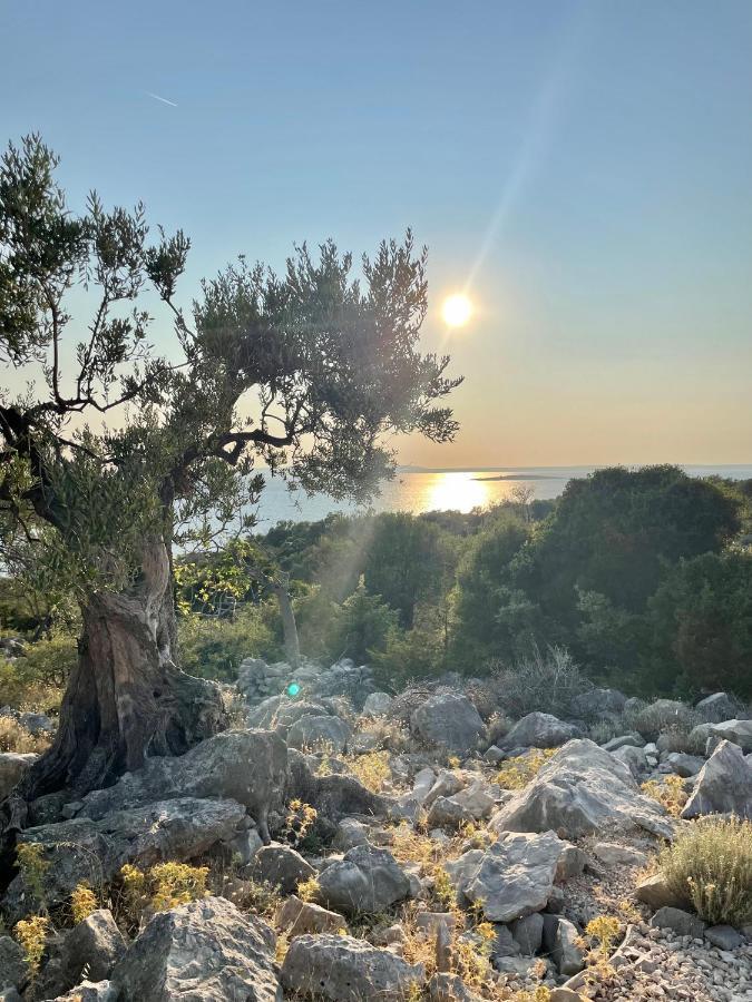 Villa Riba Lun  Kültér fotó